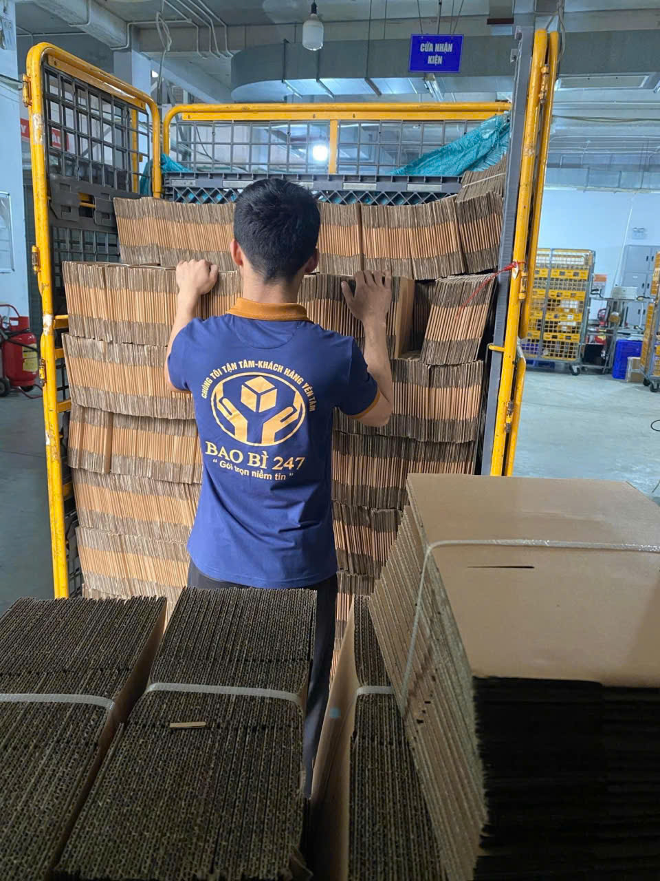 Nhan vien Bao Bi 247 xep phoi hop carton 20x10x10 tai kho